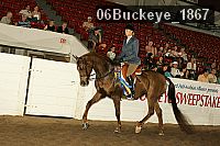 06buckeye_1867 proof