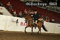06buckeye_1868 proof