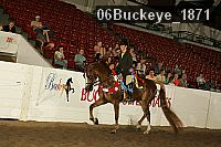 06buckeye_1871 proof