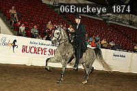 06buckeye_1874 proof