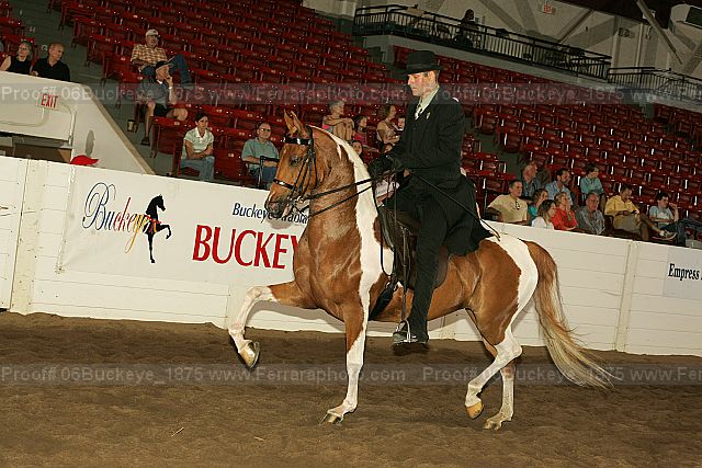 Proof 06buckeye_1875