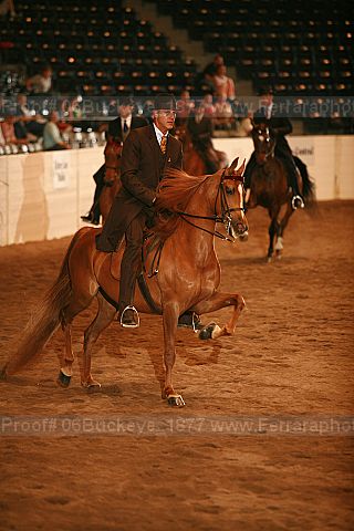 Proof 06buckeye_1877