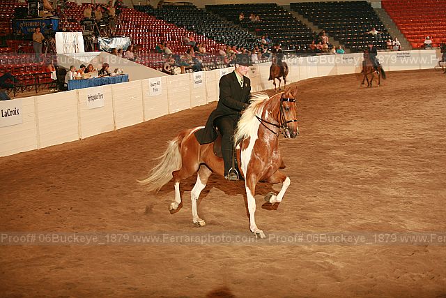 Proof 06buckeye_1879