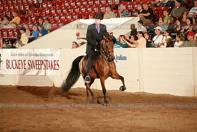 Proof 06buckeye_1885