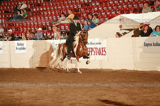 Proof 06buckeye_1887