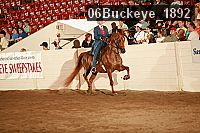 06buckeye_1892 proof