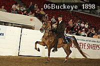 06buckeye_1898 proof
