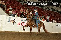 06buckeye_1902 proof
