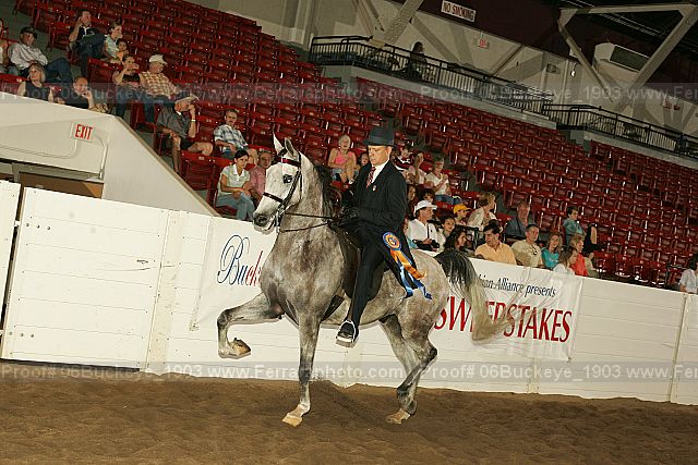 Proof 06buckeye_1903