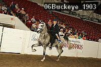 06buckeye_1903 proof