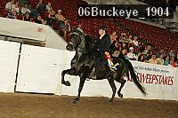 06buckeye_1904 proof