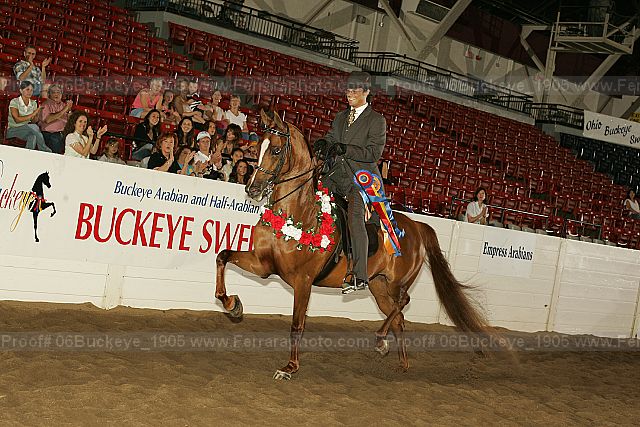 Proof 06buckeye_1905