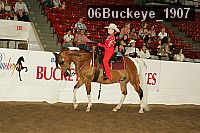 06buckeye_1907 proof