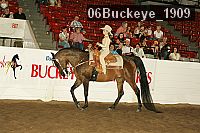 06buckeye_1909 proof