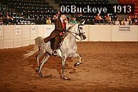 06buckeye_1913 proof