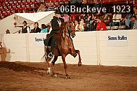 06buckeye_1923 proof