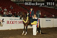 06buckeye_1931 proof