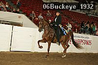 06buckeye_1932 proof