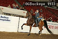 06buckeye_1933 proof