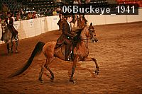 06buckeye_1941 proof