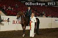 06buckeye_1953 proof