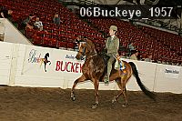 06buckeye_1957 proof