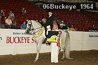 06buckeye_1964 proof