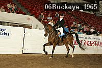 06buckeye_1965 proof