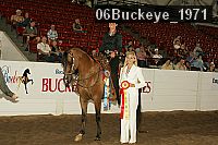 06buckeye_1971 proof