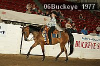 06buckeye_1977 proof