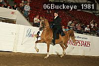 06buckeye_1981 proof