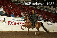 06buckeye_1982 proof