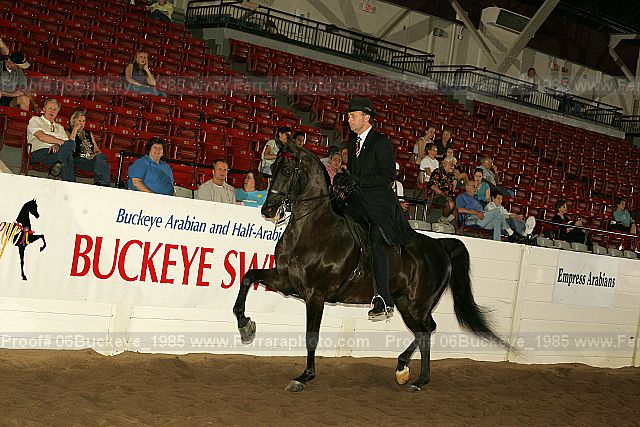 Proof 06buckeye_1985