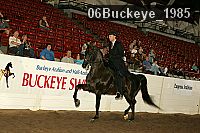 06buckeye_1985 proof