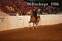 06buckeye_1986 proof