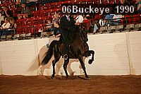 06buckeye_1990 proof