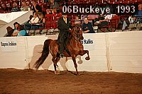 06buckeye_1993 proof