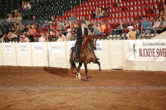 Proof 06buckeye_1995