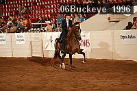 06buckeye_1996 proof