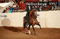 06buckeye_1997 proof