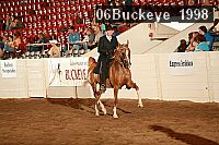 06buckeye_1998 proof