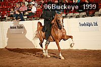 06buckeye_1999 proof