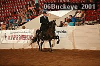 06buckeye_2001 proof