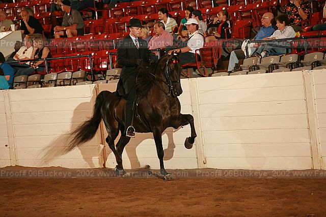 Proof 06buckeye_2002