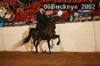06buckeye_2002 proof