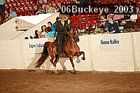 06buckeye_2003 proof