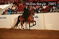 06buckeye_2005 proof