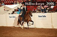 06buckeye_2006 proof
