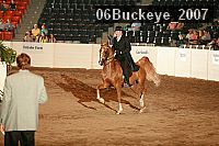 06buckeye_2007 proof