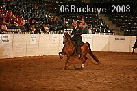 06buckeye_2008 proof
